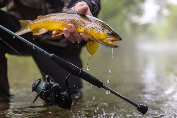 TROUT SERIES SPINNING RODS | Coureur Des Bois