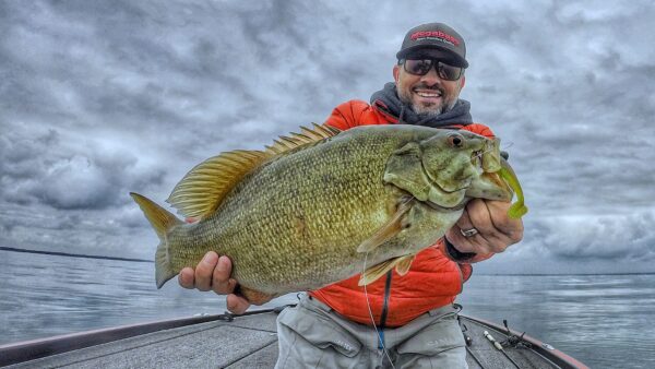 Cousvis Hazedong Shad 4pt2 Football Smallmouth 1 | Coureur Des Bois