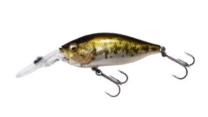 Deep-X 100 LBO