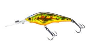 HARDCORE SHAD 75SF