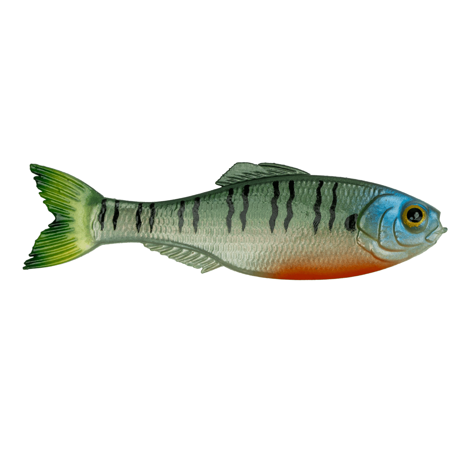 Panorama - 4K Bluegill