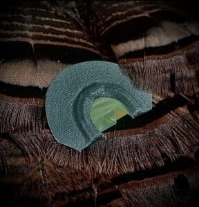 Long Beard Turkey Calls Left Wing Forest Green Combo Cut Clear, Easy to Use for Beginners