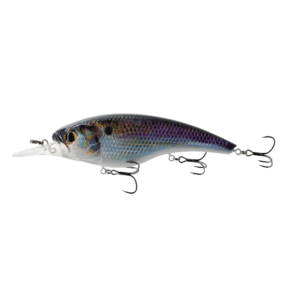 Pump 125 Shallow – Live Gizzard Flash