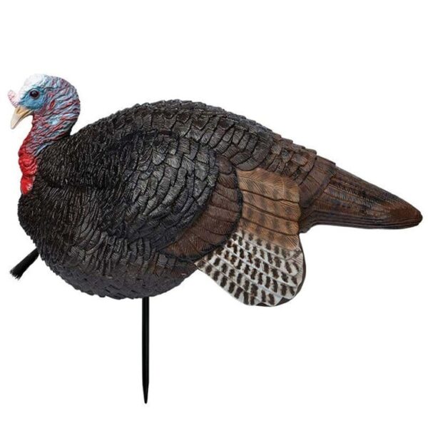 Lil Gobbstopper Jake lifelike decoy