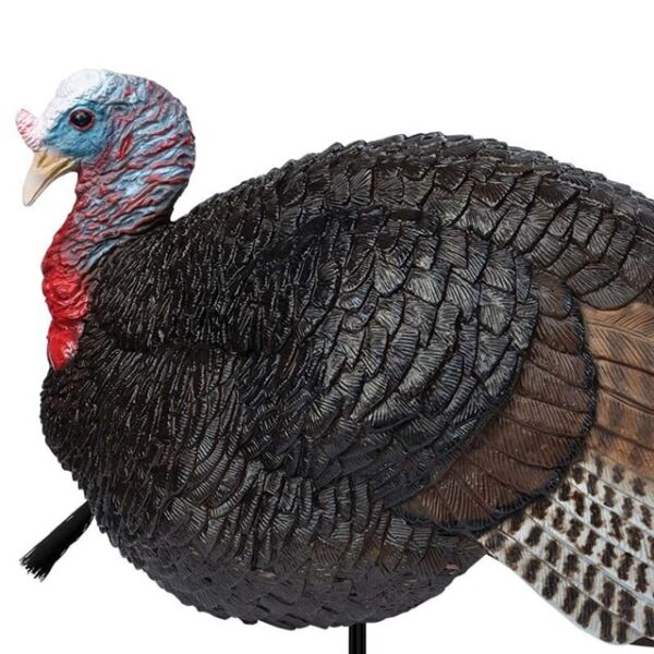 Lil Gobbstopper Jake lifelike decoy