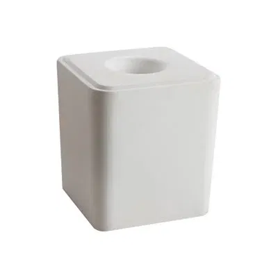 Salt bloc blanc