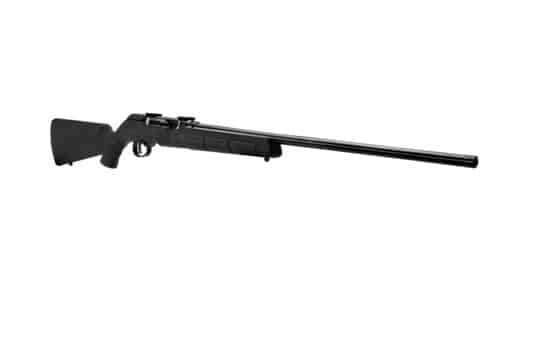 Savage A22 22LR Semi-Auto, Black Synthetic