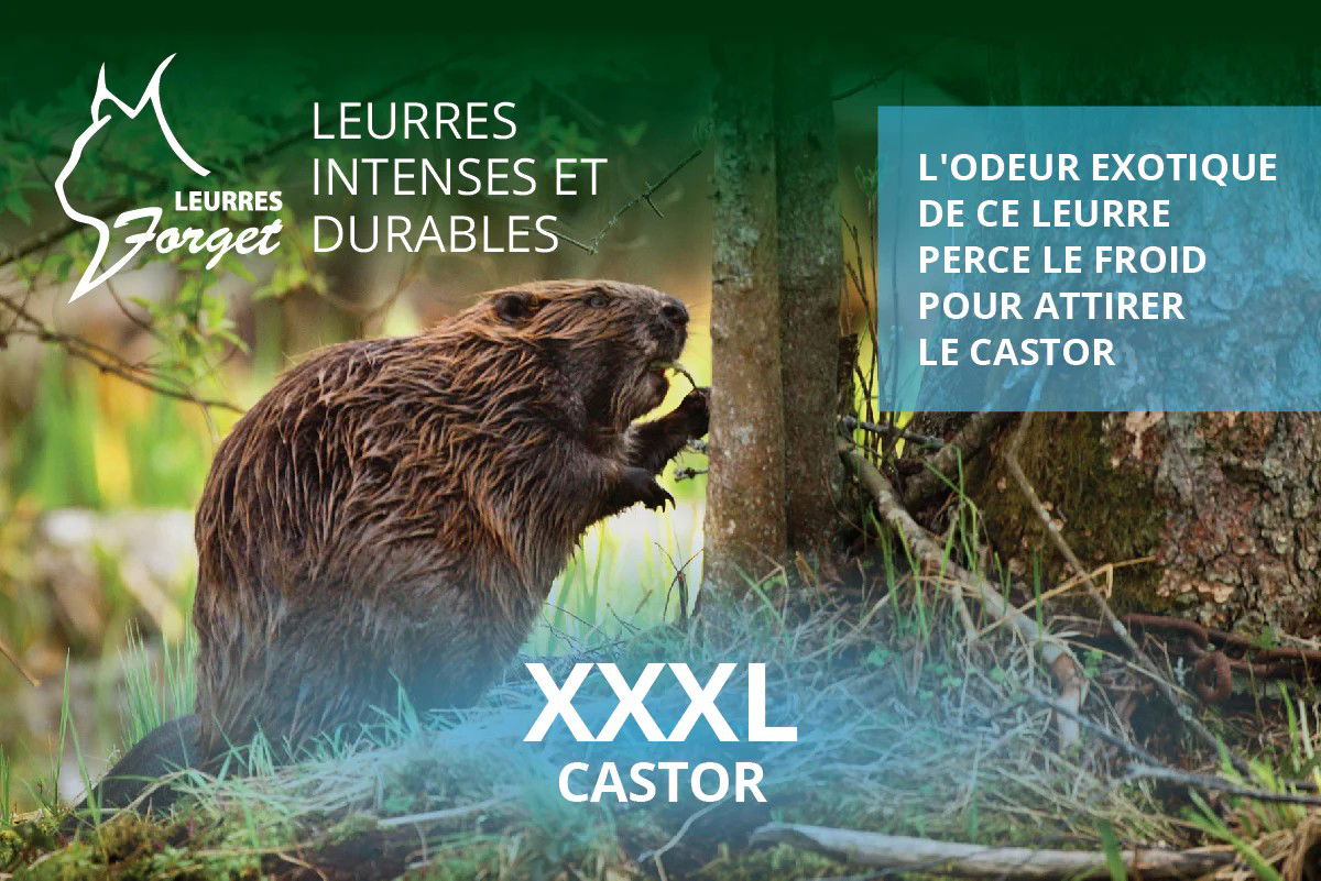 Leurres Forget XXXL - Beaver