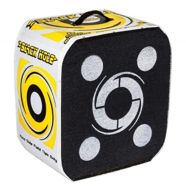 Black Hole Target 22in 4 Sided Shooting