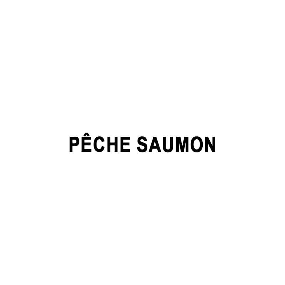 Pêche saumon