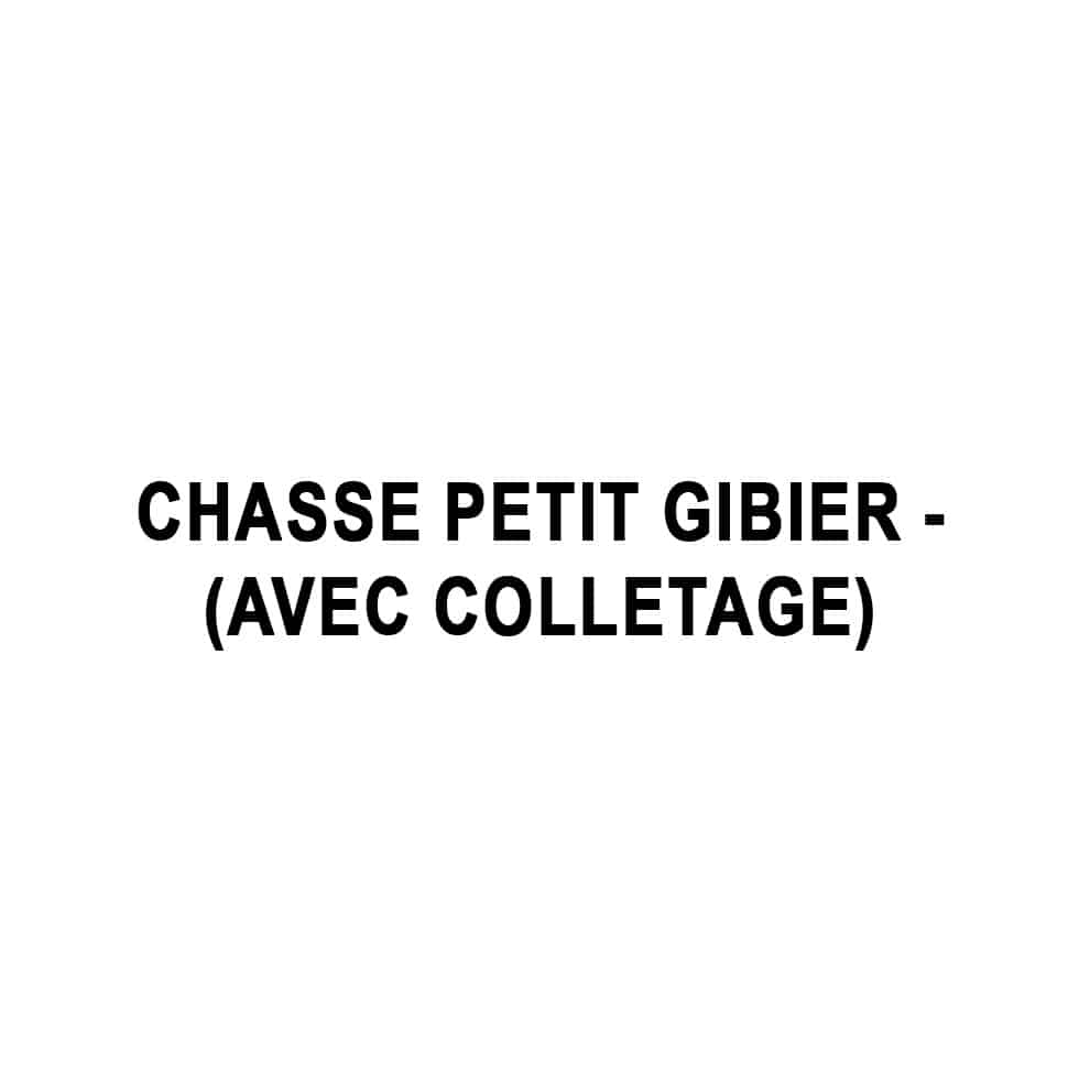 Chasse petit gibier - (avec colletage)