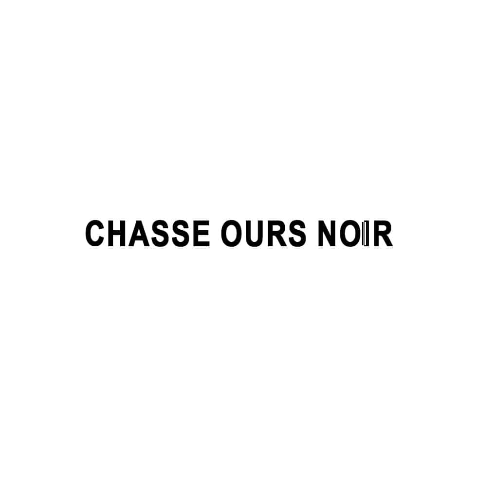 Chasse ours noir