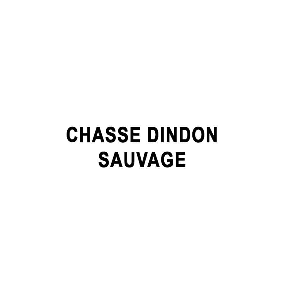 Chasse Dindon sauvage
