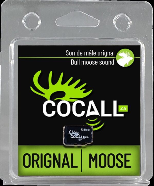 Cocall moose buck