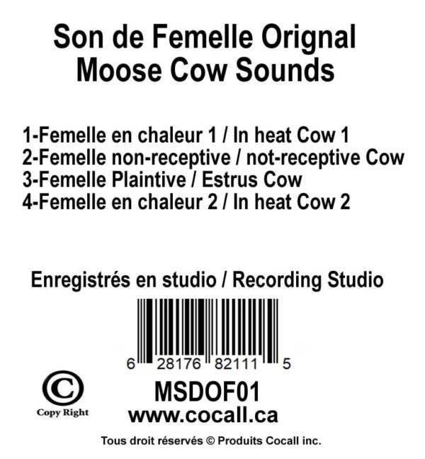 Cocall moose cow