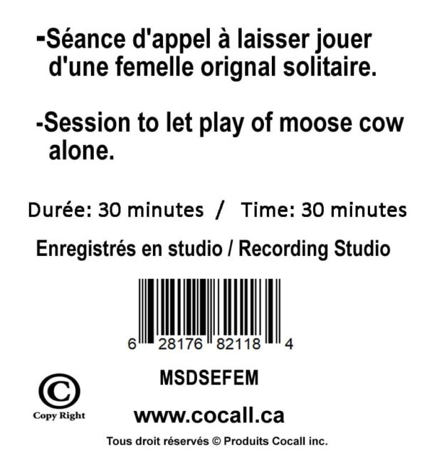 Cocall moose cow alone