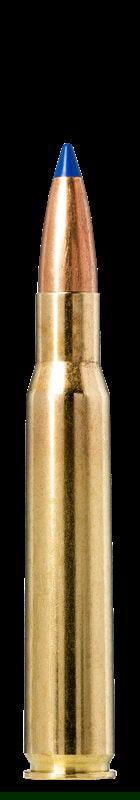 Norma Bondstrike long range hunting 30-06 sprg 180gr