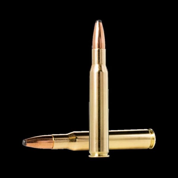 Norma Oryx premium bonded core 30-06 sprg 180gr