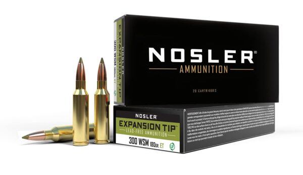 Nosler 300 wsm 180gr expansion Tip