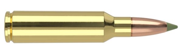 Nosler 300 wsm 180gr expansion Tip