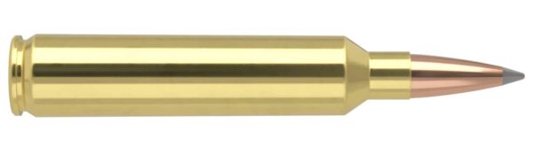 Nosler Trophy Grade Long range Ammunition