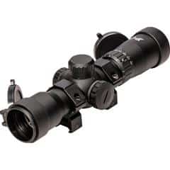 Excalibur Overwatch straight tube scope